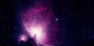 Ile trwa nauka w szkole doktorskiej?