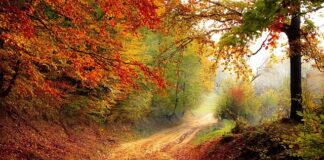 Do którego roku życia można robić doktorat?