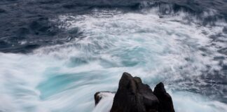 Co to jest ceną ryczałtową?