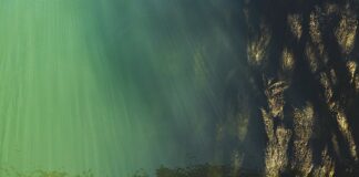 Jak obliczyć poziom istotności?