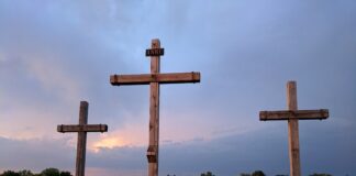 Kiedy powstał obecny system edukacji?