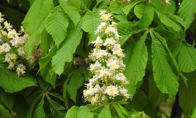 Co jak nie mam matury?