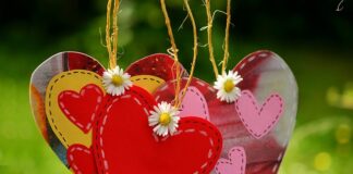 Ile kosztuje przewód doktorski?