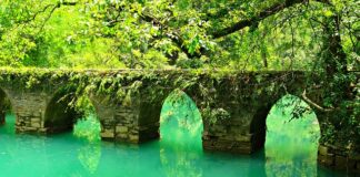 Czy pisze się lic przed nazwiskiem?