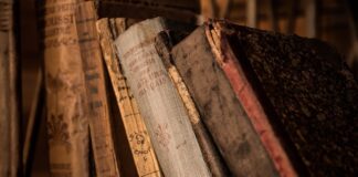 Kto wymyślił system edukacji?