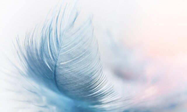 Co to jest platforma Kafeteryjna? Co to jest platforma Kafeteryjna?