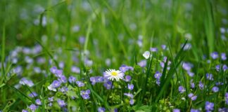 Jakie nagrody dla pracowników?