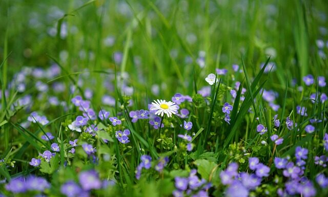 Jakie nagrody dla pracowników? Jakie nagrody dla pracowników?