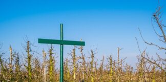 Kiedy nie trzeba regulaminu wynagradzania?