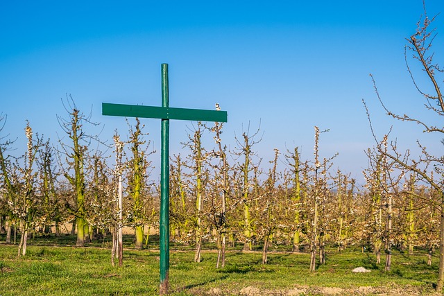 Kiedy nie trzeba regulaminu wynagradzania? Kiedy nie trzeba regulaminu wynagradzania?