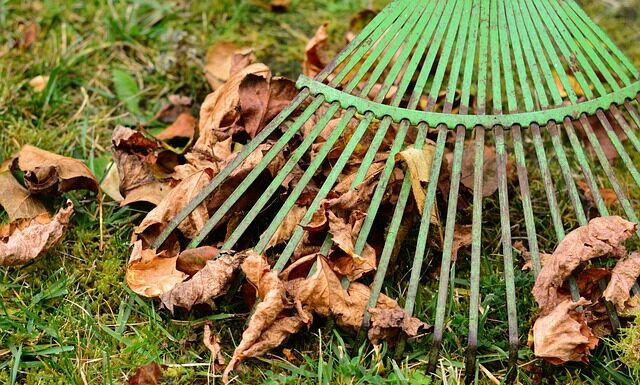 Czy prowizję są zwolnione z VAT? Czy prowizję są zwolnione z VAT?