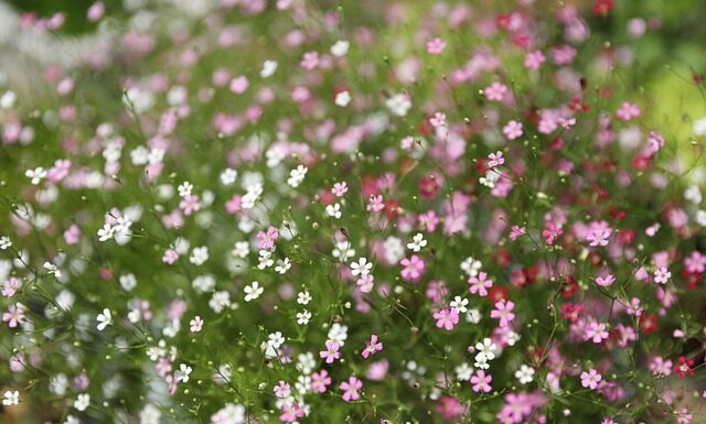 Ile kosztuje certyfikacja ISO 27001? Ile kosztuje certyfikacja ISO 27001?