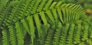 Jak wdrożyć compliance?