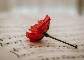 W jakich krajach jest bezpłatna służba zdrowia? W jakich krajach jest bezpłatna służba zdrowia?