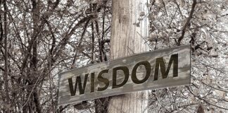 Ile wynosi stypendium doktoranckie netto?