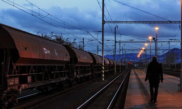 W czym warto się szkolić?