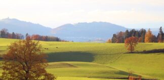 Czy wynagrodzenie zasadnicze to to samo co brutto?