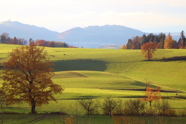 Czy wynagrodzenie zasadnicze to to samo co brutto? Czy wynagrodzenie zasadnicze to to samo co brutto?