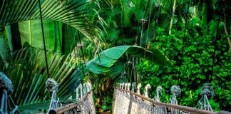 Co oznacza kurs 100?