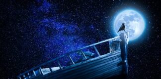 Jakie treści zawiera podstawa programowa?