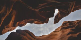 Jakie są formy studiów?