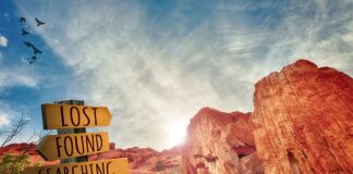 Czym zajmuje się doskonalenie zawodowe?