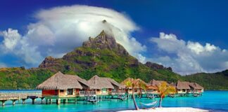 Czy nauczyciel może wziąć urlop na żądanie?