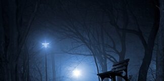 Kiedy powstał Polski system edukacji?