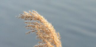 Dlaczego wynagrodzenia się różnią?