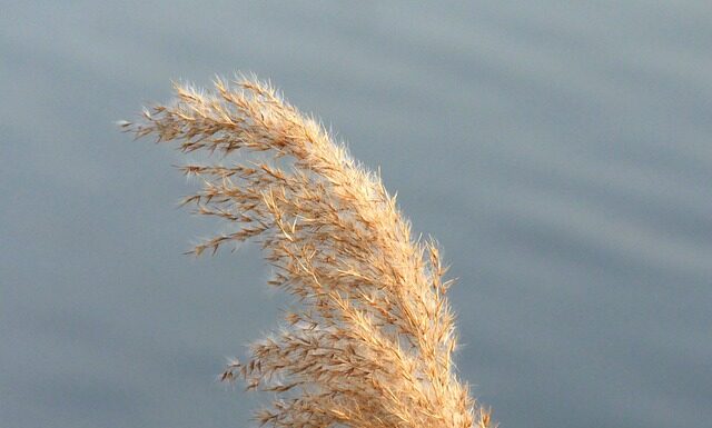 Dlaczego wynagrodzenia się różnią? Dlaczego wynagrodzenia się różnią?