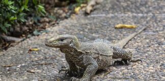 Jak obejść skierowanie do pracy z urzędu pracy?