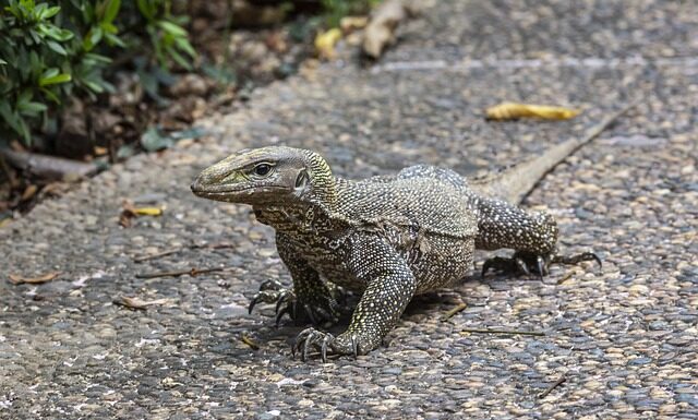 Jak obejść skierowanie do pracy z urzędu pracy?