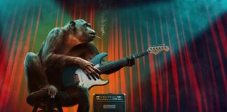 Jakie są etapy studiów?