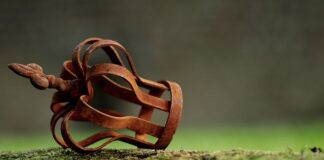 Czy na studiach podyplomowych ma się status studenta?