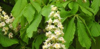 Czy na studiach prywatnych liczy się matura?