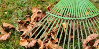 Czy prowizja to to samo co premia?