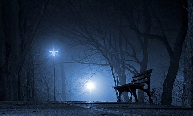 Czy polskie uprawnienia na koparki są ważne w UK? Czy polskie uprawnienia na koparki są ważne w UK?