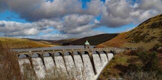 Ile bierze coach za sesję?