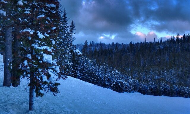 Kiedy robi się licencjat? Kiedy robi się licencjat?