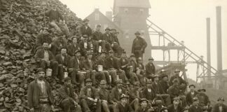 Co wpisać w wykształceniu?