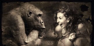 Czy da się grać w Gorilla tag bez VR?