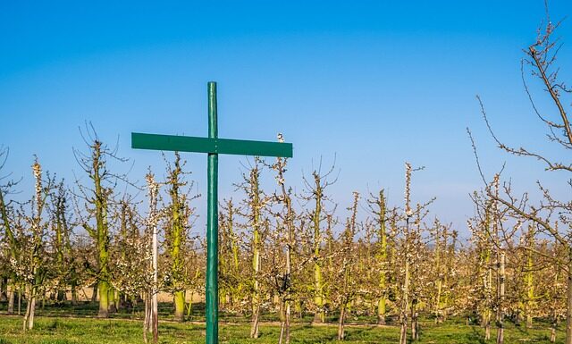 Kto zatwierdzą regulamin wynagradzania?
