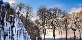 Na czym polega składowanie?