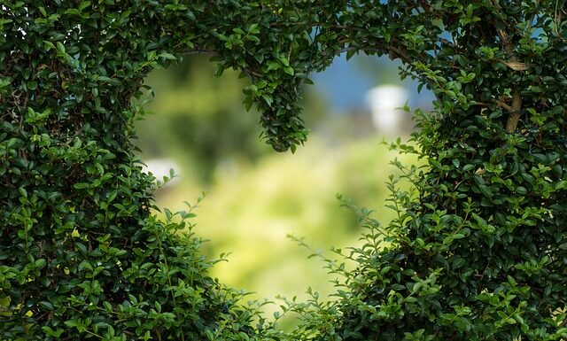 Dlaczego warto jeść zielone? Dlaczego warto jeść zielone?