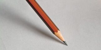 Czy usuwać liście z truskawek?