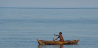 Jakie powinno być no3 w Malawi?