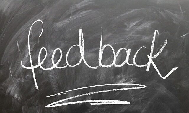 Jak rozmawiać ze świnka morska?