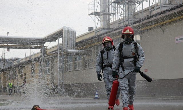 Jak sprawdzić czy to zatrucie grzybami?