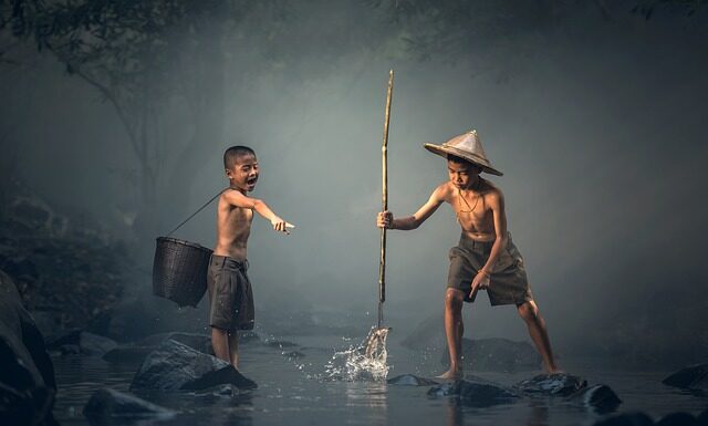 Dlaczego ryby pływają przy szybie?