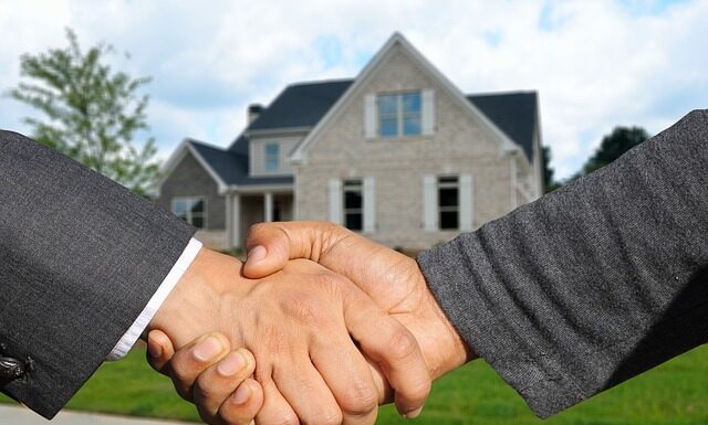 Gdzie kupić ser bursztyn?